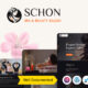 Schon (Themeholy) (ThemeForest)