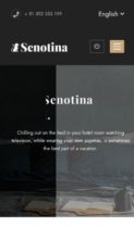 Senotina (Farost) - (screenshot mobile)