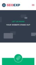 Seoexp (screenshot mobile)