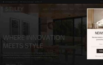 Smiley (DesignThemes) - (screenshot desktop)