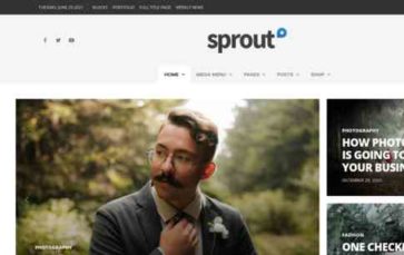 Sprout (Envirra) - (screenshot desktop)