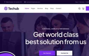 Techub (screenshot desktop)