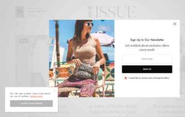 The Issue (screenshot desktop)