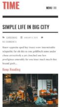 TimeNews (AliThemes) (screenshot mobile)
