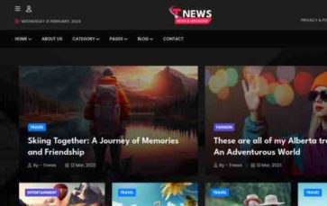 TNews (Themeholy) (screenshot desktop)