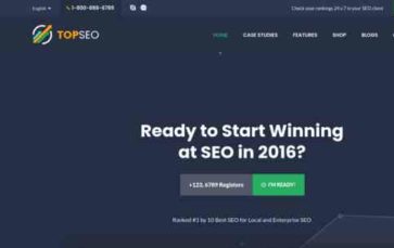 TopSEO (BoostifyThemes) (screenshot desktop)