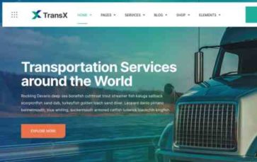 TransX (screenshot desktop)