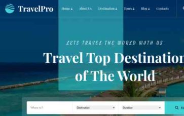 TravelPro (Laralink) (screenshot desktop)