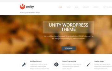 Unity (BestWebSoft) - (screenshot desktop)