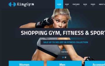 VG Kinggym (screenshot desktop)