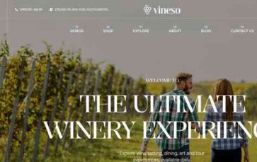 Vineso (screenshot desktop)