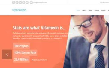 Vitameen (screenshot desktop)