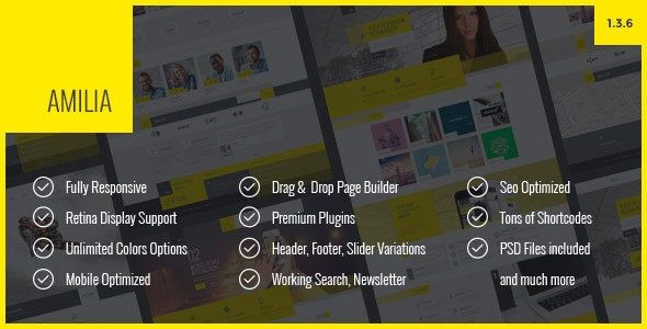 WP Amilia (ThemeForest)