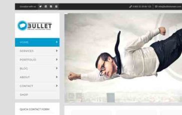WP Bullet (screenshot desktop)