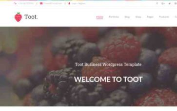 WP Toot (screenshot desktop)