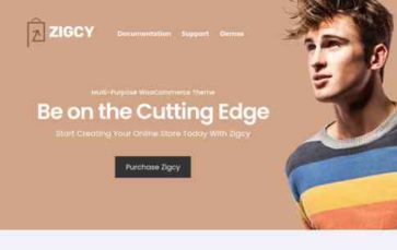 Zigcy (screenshot desktop)