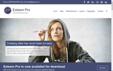Esteem Pro (screenshot desktop)