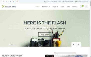 Flash Pro (screenshot desktop)