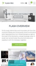 Flash Pro (screenshot mobile)