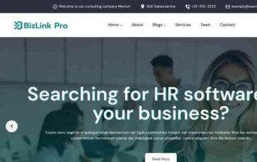 BizLink Pro (screenshot desktop)