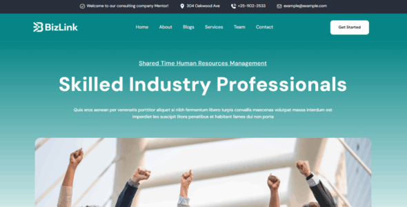 BizLink (ThemeGrove)