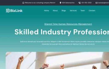 BizLink (screenshot desktop)