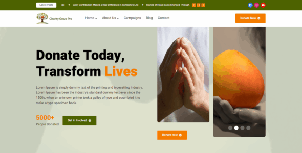 Charity Grove Pro (ThemeGrove)