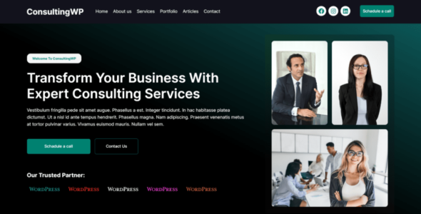 ConsultingWP (ThemeGrove)
