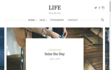Life (Themehaus) (screenshot desktop)