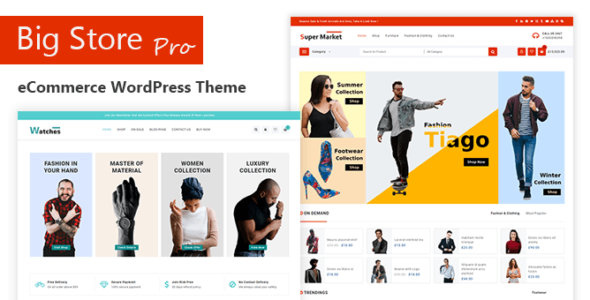 Big Store Pro (ThemeHunk)