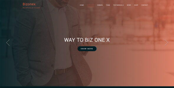 Bizonex (ThemeHunk)