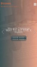 Bizonex (screenshot mobile)