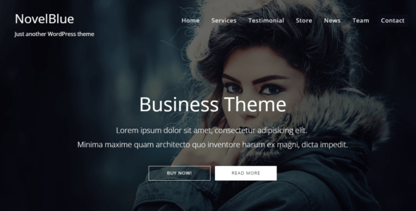 NovelBlue (ThemeHunk)