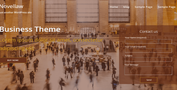 NovelLaw (ThemeHunk)