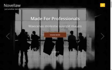 NovelLaw (screenshot desktop)