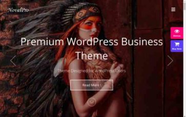 NovelPro (screenshot desktop)