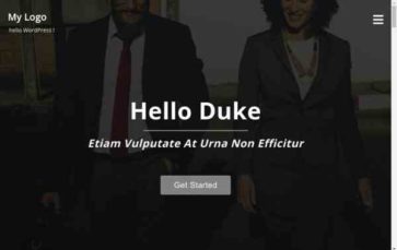 Parallax Duke (screenshot desktop)