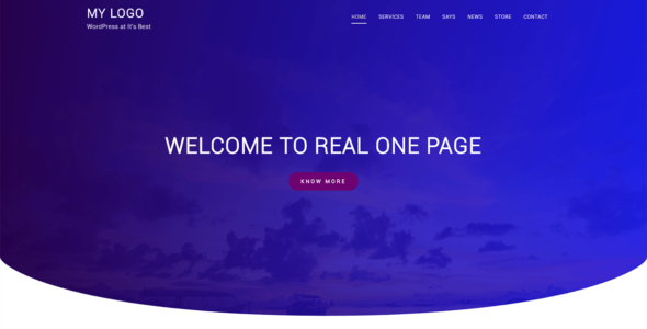 Real One Page (ThemeHunk)