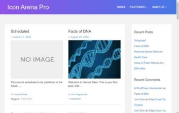 Icon Arena Pro (screenshot desktop)