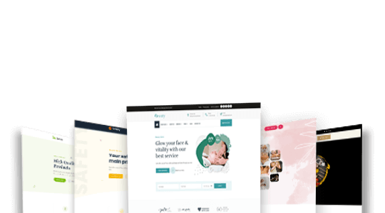 Borax Pro (Themeies)