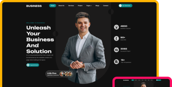 Business Solutions Pro (ThemeIgnite)