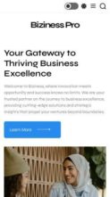 Biziness Pro (screenshot mobile)