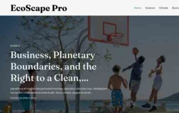 Ecoscape Pro (screenshot desktop)