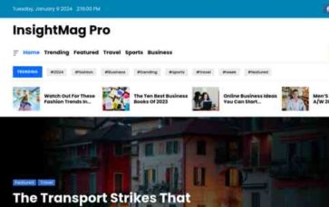 InsightMag Pro (screenshot desktop)