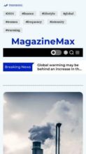 MagazineMax (screenshot mobile)