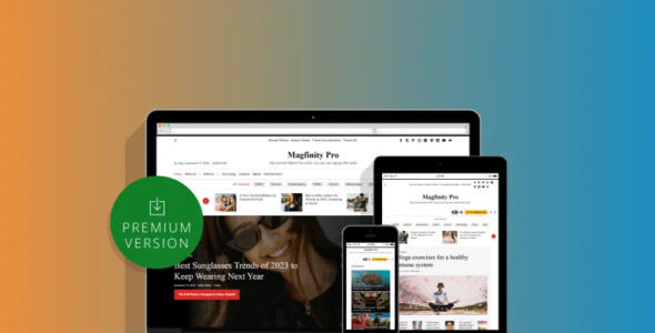 Magfinity Pro (ThemeinWP)