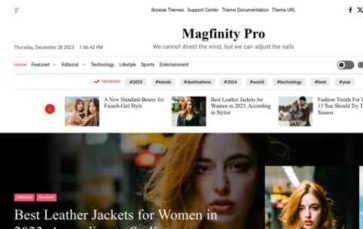 Magfinity Pro (screenshot desktop)
