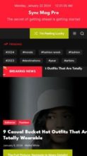 Sync Mag Pro (screenshot mobile)