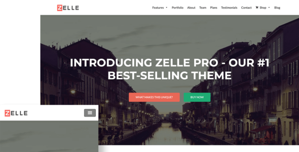 Zelle Pro (ThemeIsle)