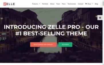 Zelle Pro (screenshot desktop)